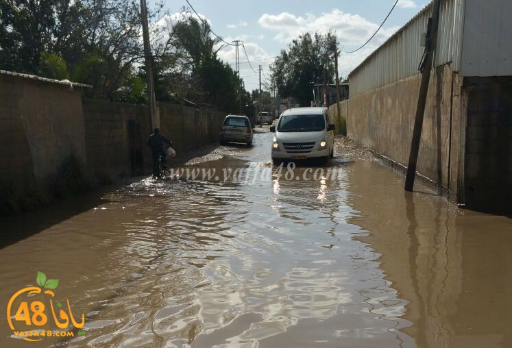 dahmash raeinina (1).jpg